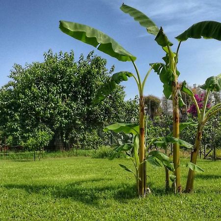 B&B Tifeo Villafranca Tirrena Εξωτερικό φωτογραφία